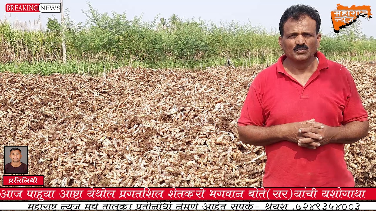 आष्टा येथील भगवान शामराव बोते यांनी हळद पिकात दीड एकर क्षेत्रात विक्रमी 80 क्विंटल उत्पादन घेतले.