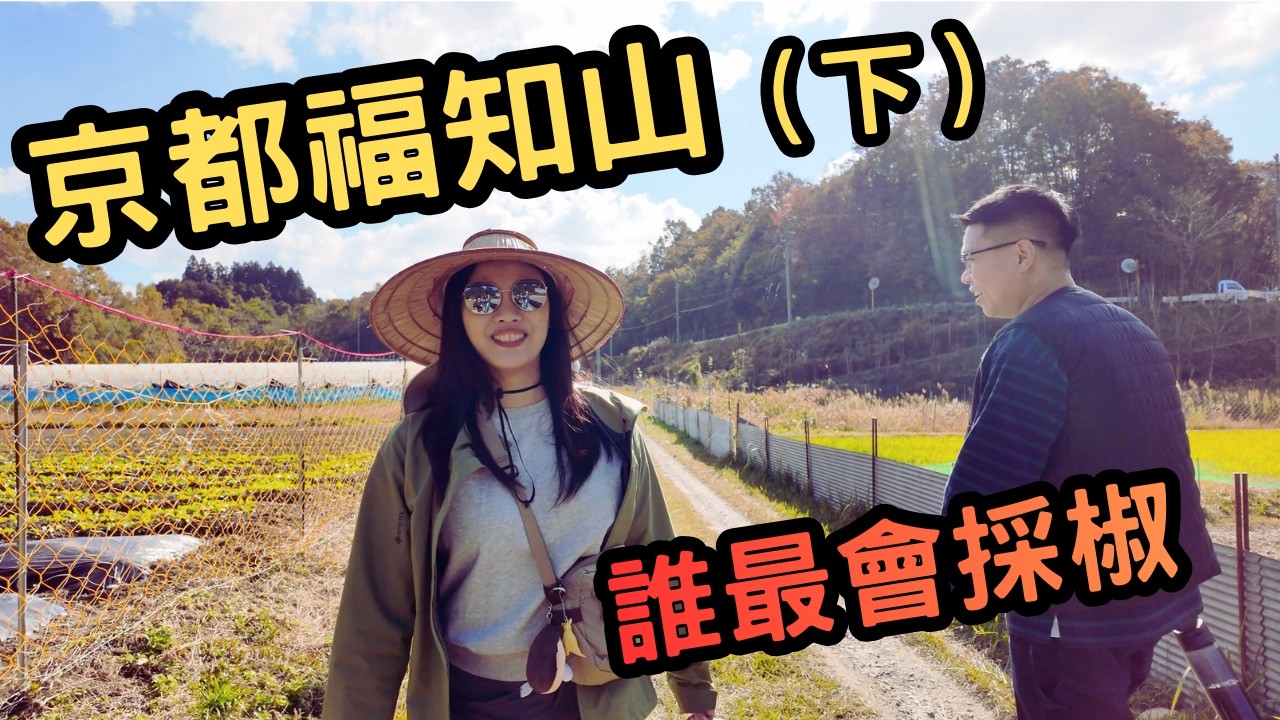 京都福知山之旅（下）在京都體驗務農｜雞蛋拌飯｜八百年神社｜超大銀杏樹
