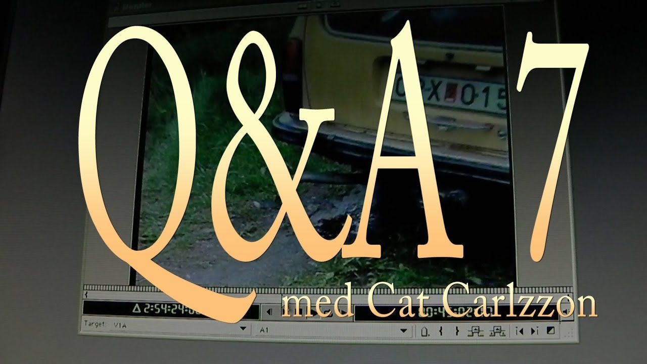 QA 7 med Cat Carlzzon