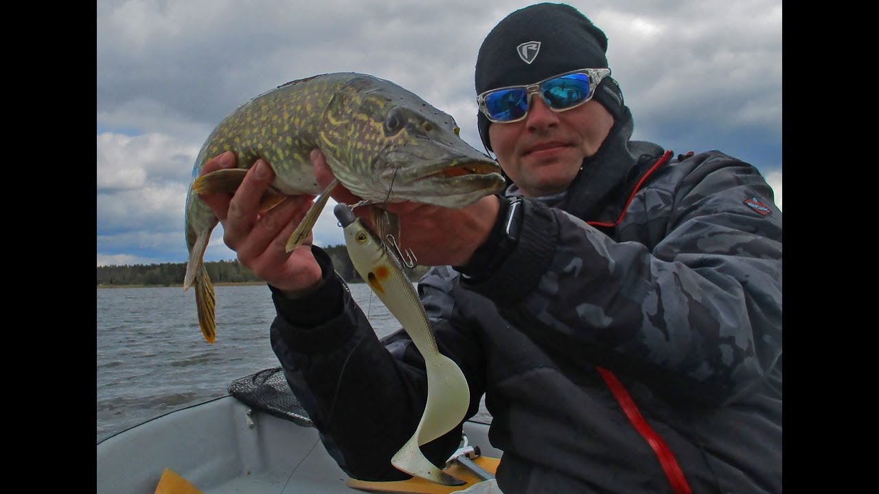 Szczupaki na twistery