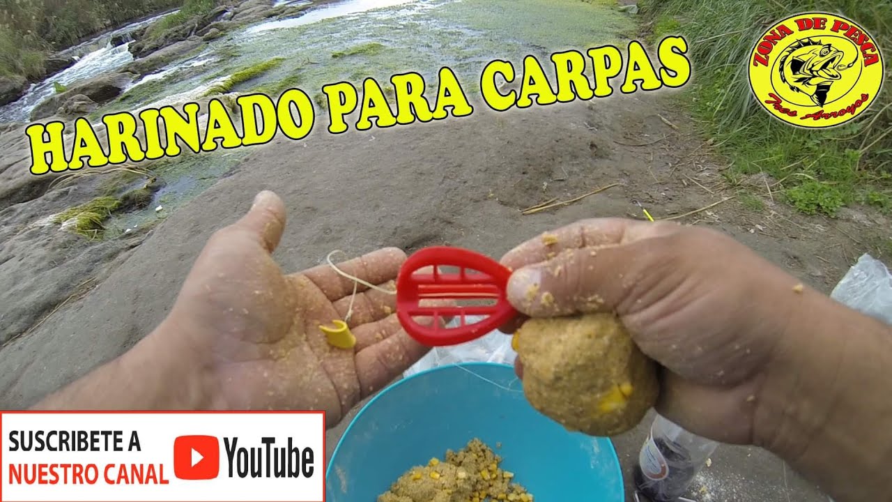 HARINADO CLASICO PARA PRINCIPIANTES - PESCA DE CARPAS Y LINEA FEEDER 3D #pescadecarpas #carpfishing