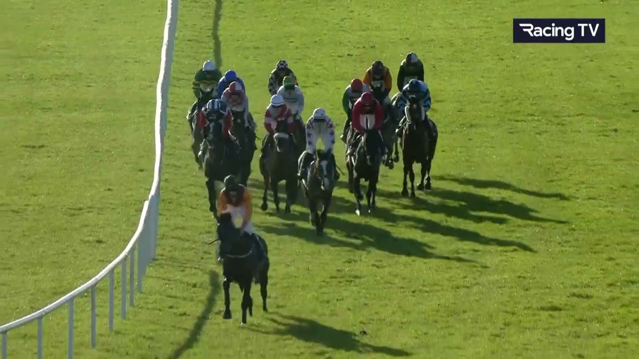 West of carrig fairyhouse