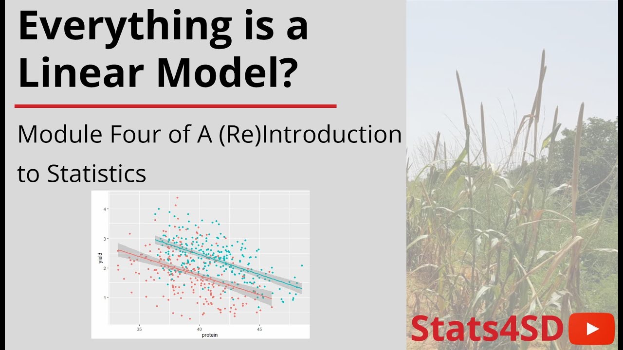 Everything is a Linear Model? - A (Re)Introduction to Statistics Module 4