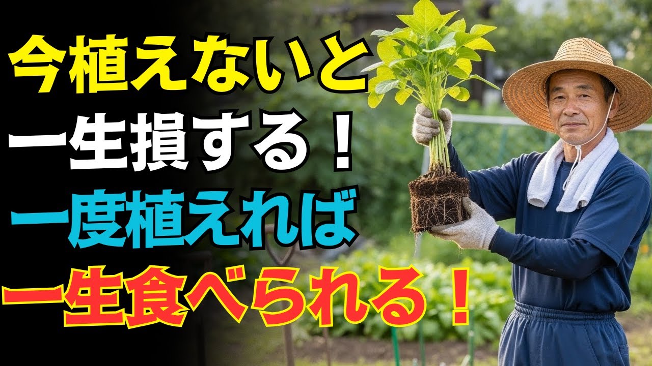 たった1回植えるだけ！20年食べ続けられる最強の作物10選！手遅れになる前に今すぐ始めよ！
