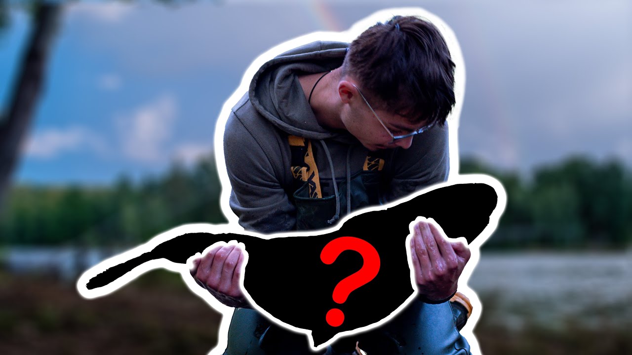 Na Téhle Přehradě jsme Chytli Kapra 28kg!!!?