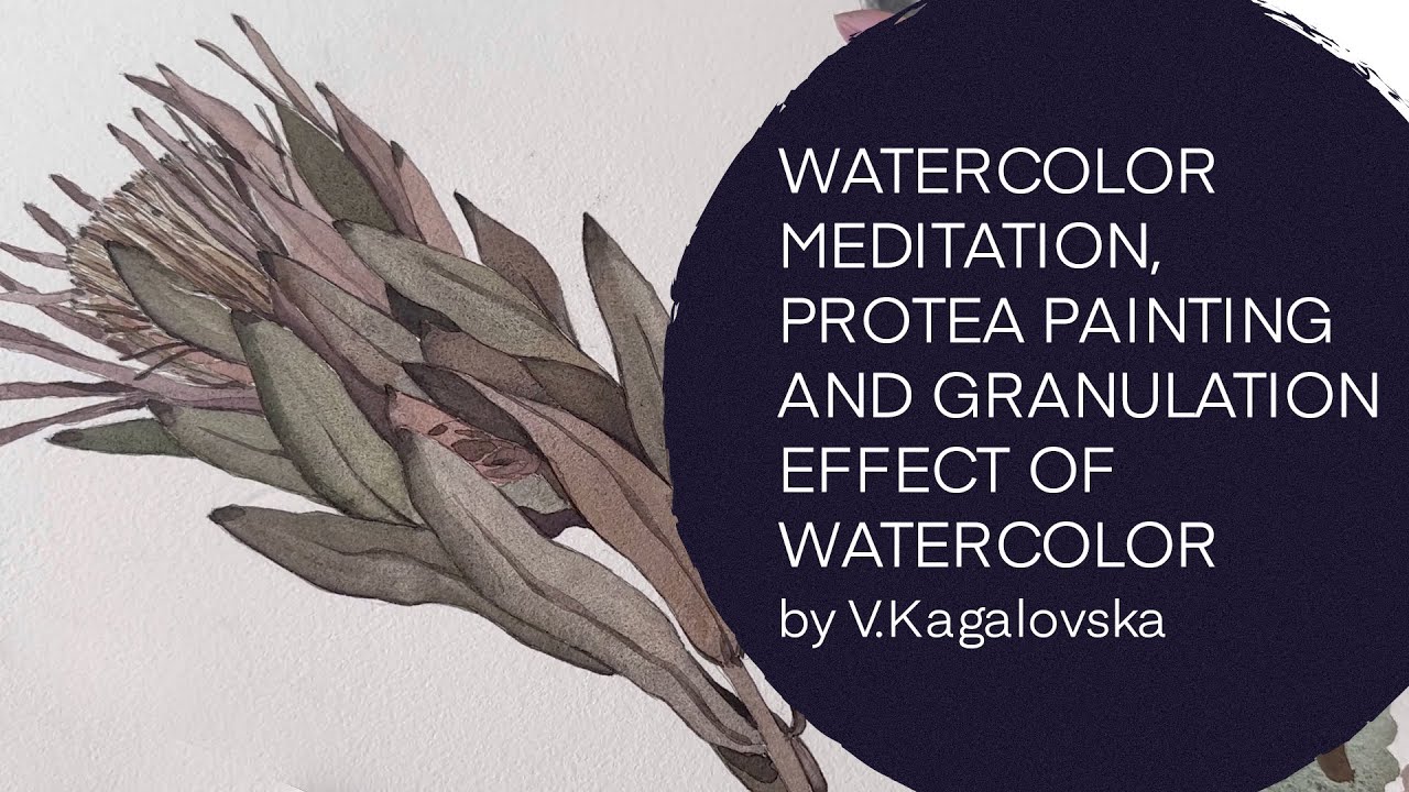 Watercolor meditation, protea painting and granulation effect of watercolor long version