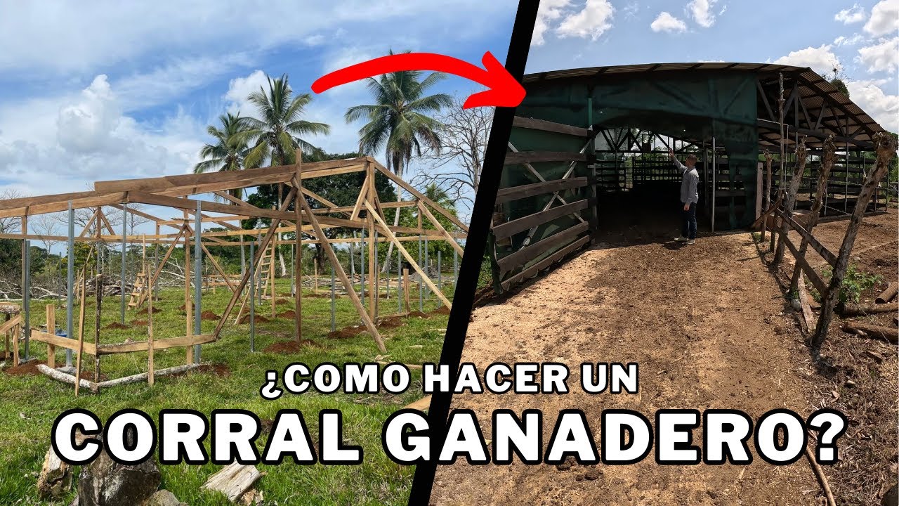Como hacer un CORRAL GANADERO⁉️