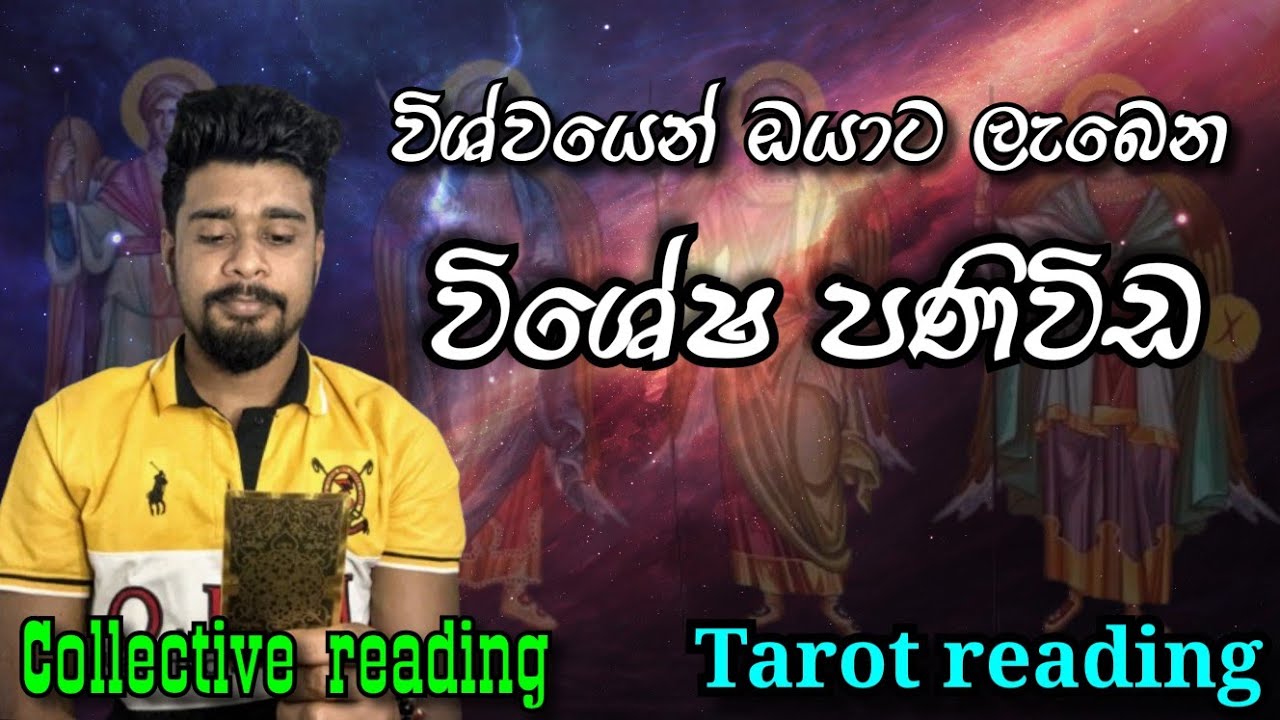 🔮📩  විශ්වයෙන් ඔයාට ලැබෙන විශේෂ පණිවිඩ 💫🕊️ | sinhala tarot reading 