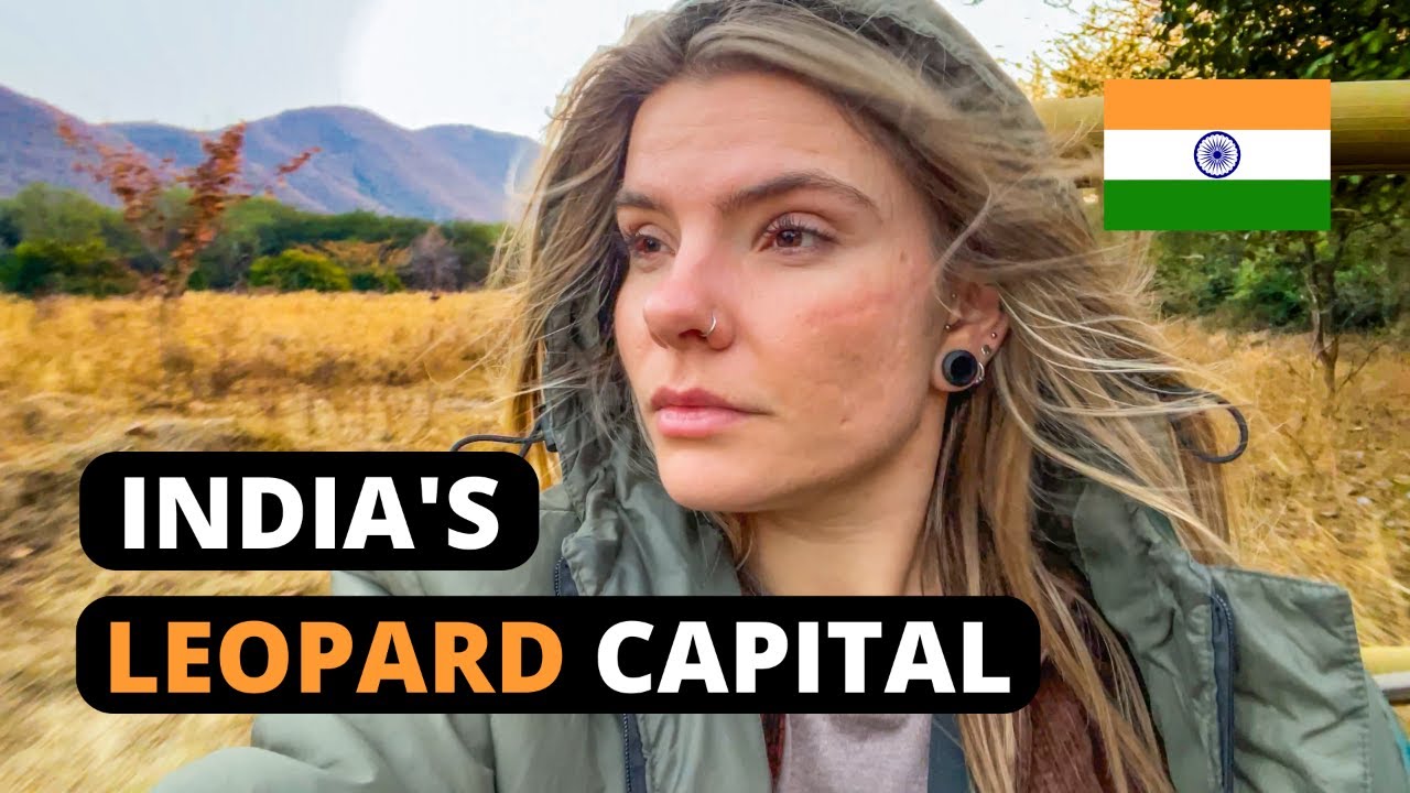 Заповедник леопардов Джалана в Джайпуре | Жизнь с леопардами 🐆