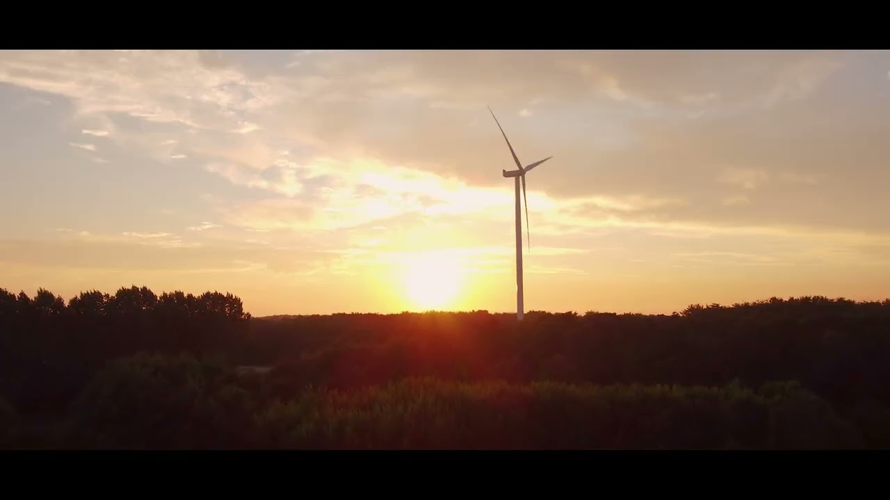 Robbenoordbos (shot with DJI Mini 2)