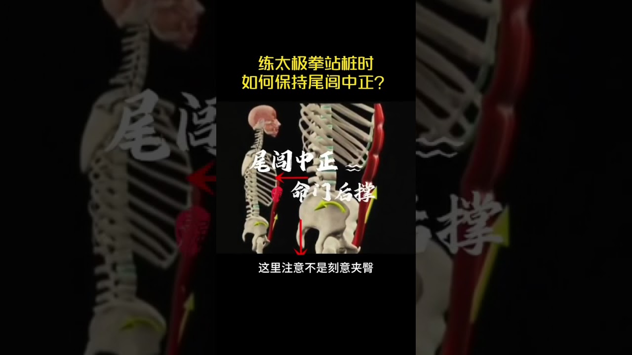 練太極拳站樁時如何保持尾閭中正？在站樁中保持尾閭中正，是確保脊柱正直、氣血暢通的核心要領。#太極拳 #站樁