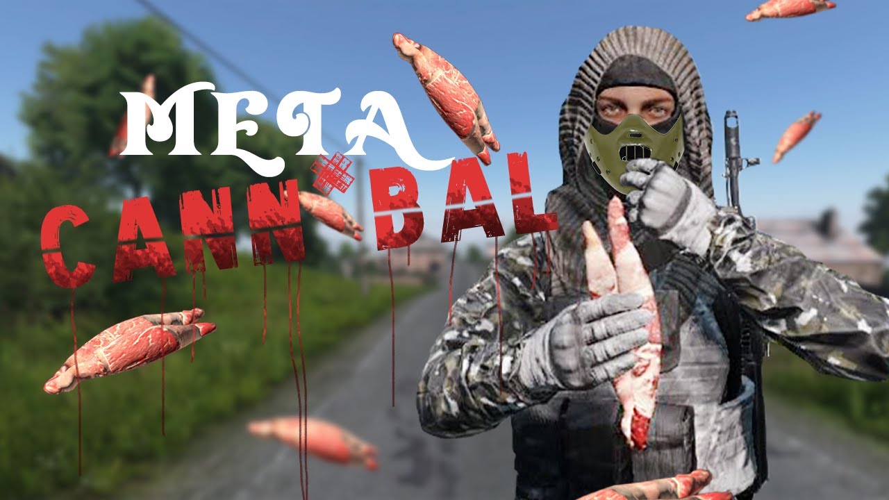 Tester la méta CANN*BAL sur DayZ 🤭
