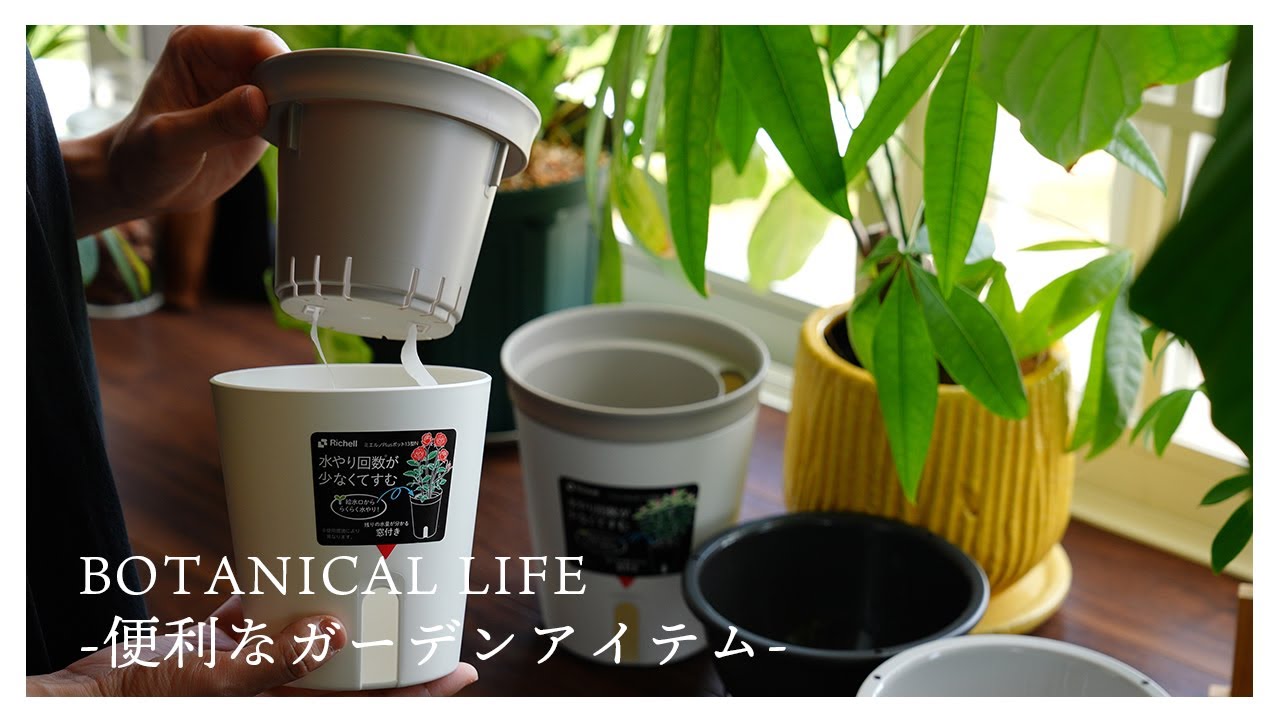 ホームセンターで見つけた便利なガーデンアイテム｜ウンベラータとフィロデンドロンの植え替え｜リッチェル｜サスティー
