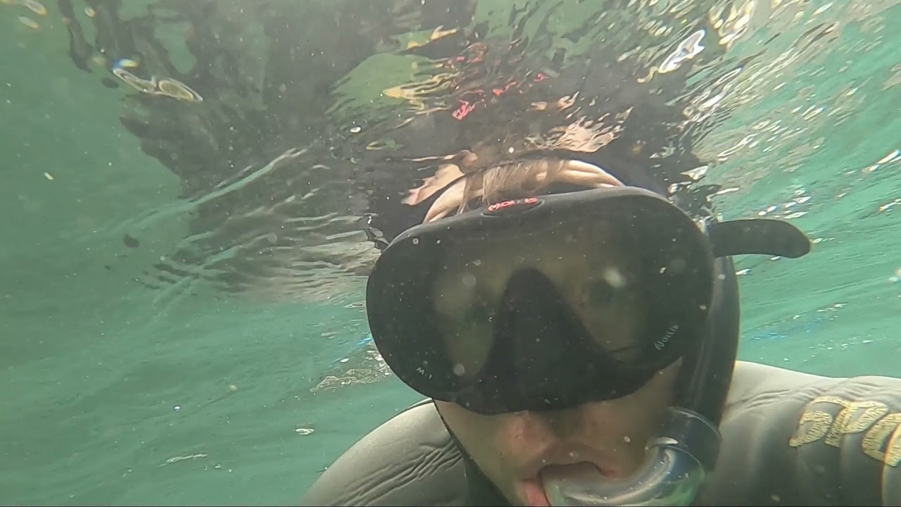 Vedder Underwater: Summer Chinooks And Other Fish