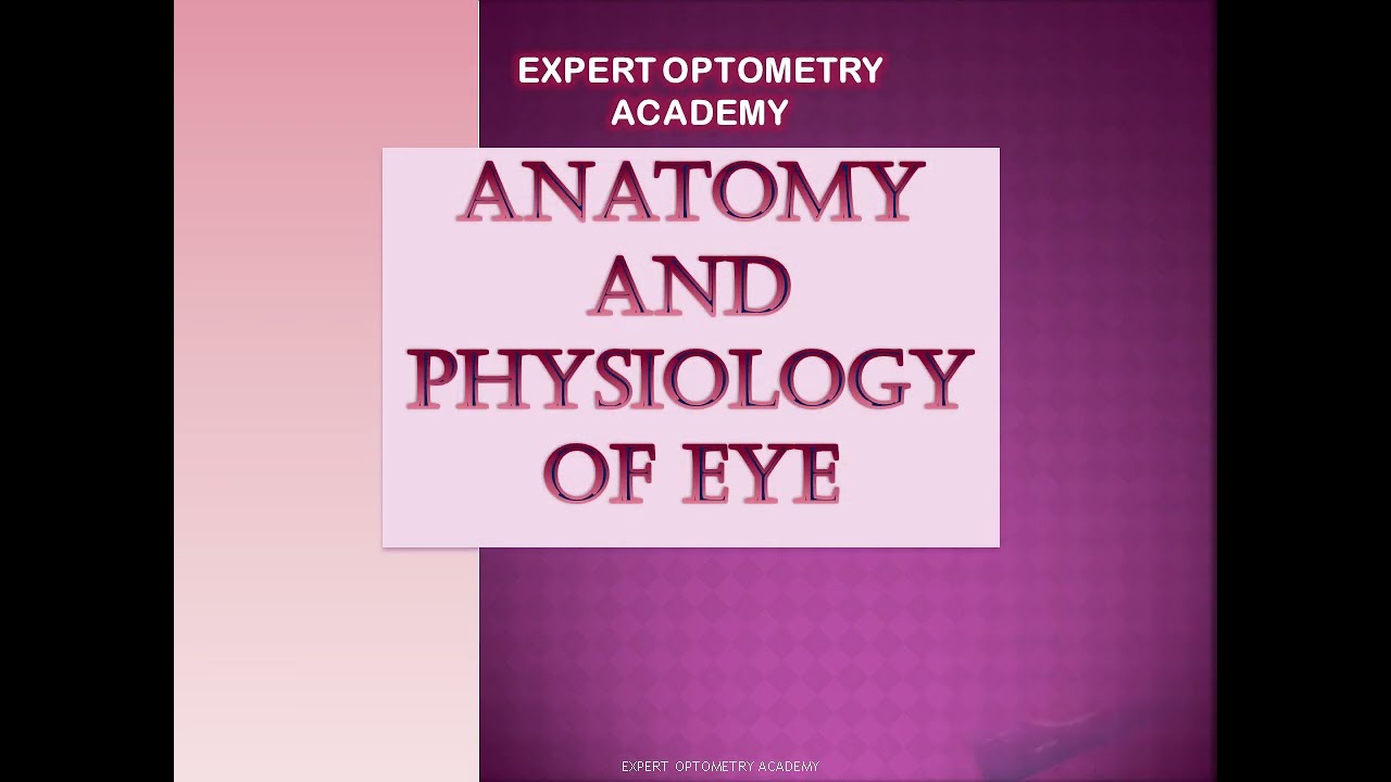 mcq on anatomy and physiology of eye || mcq for optometry exam