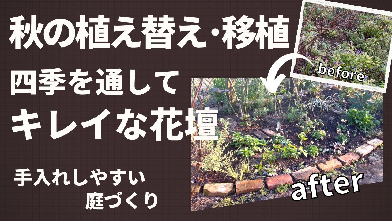 《一年中キレイな花壇を目指して植え替え！》カラーリーフ低木・宿根草・こぼれ種一年草メインに少ない植え替えで年中キレイな花壇を目指します／お手入れのしやすい花壇づくり／半地植え