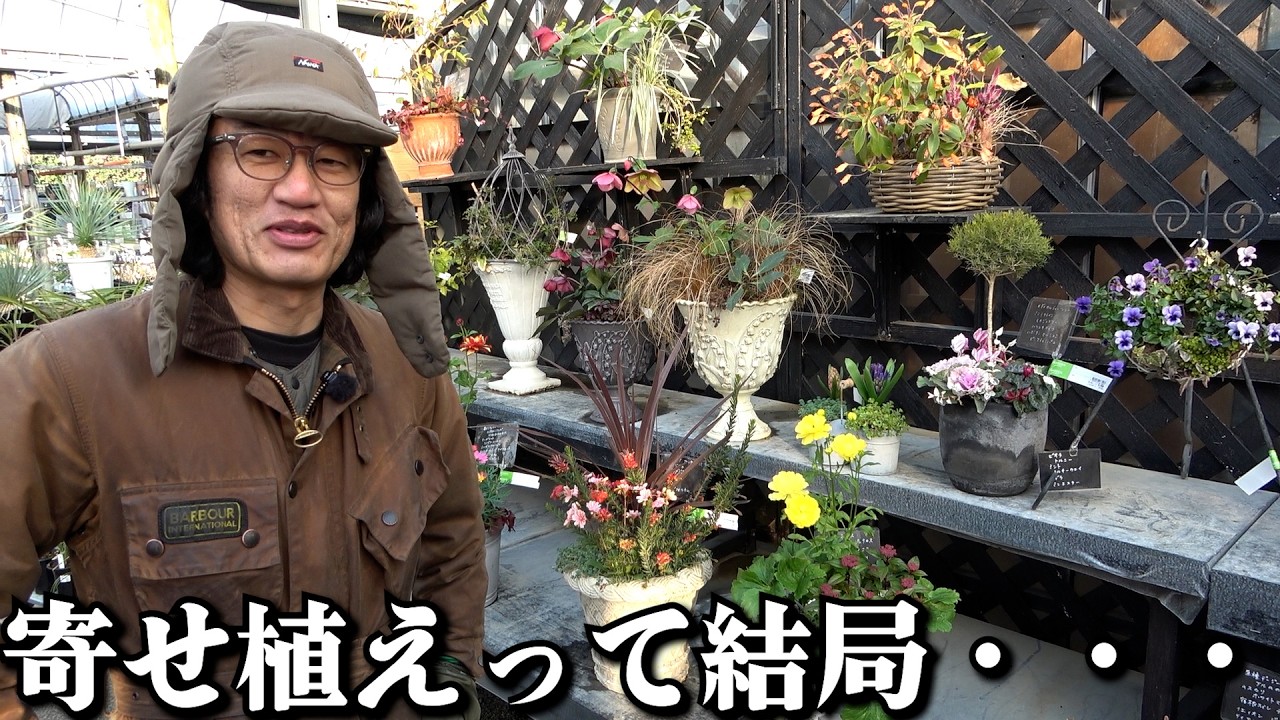 寄せ植えの〇〇問題が深刻な件【カーメン君】【園芸】【ガーデニング】