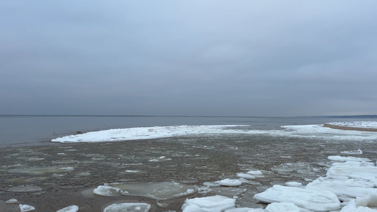 LIVE ❄️ Frozen Ocean / Sea & Ice Ambience | Calm Winter Shore for Sleep, Focus & Relaxation