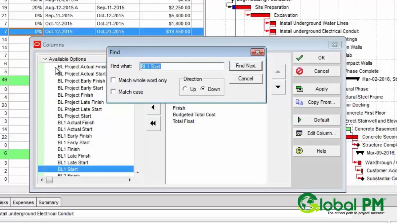 Primavera P6 Training: How to display target / baseline information in Primavera P6