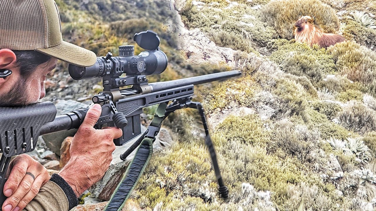 EPIC 8 DAY Tahr Hunting Adventure In New Zealand - OLD BULL DOWN