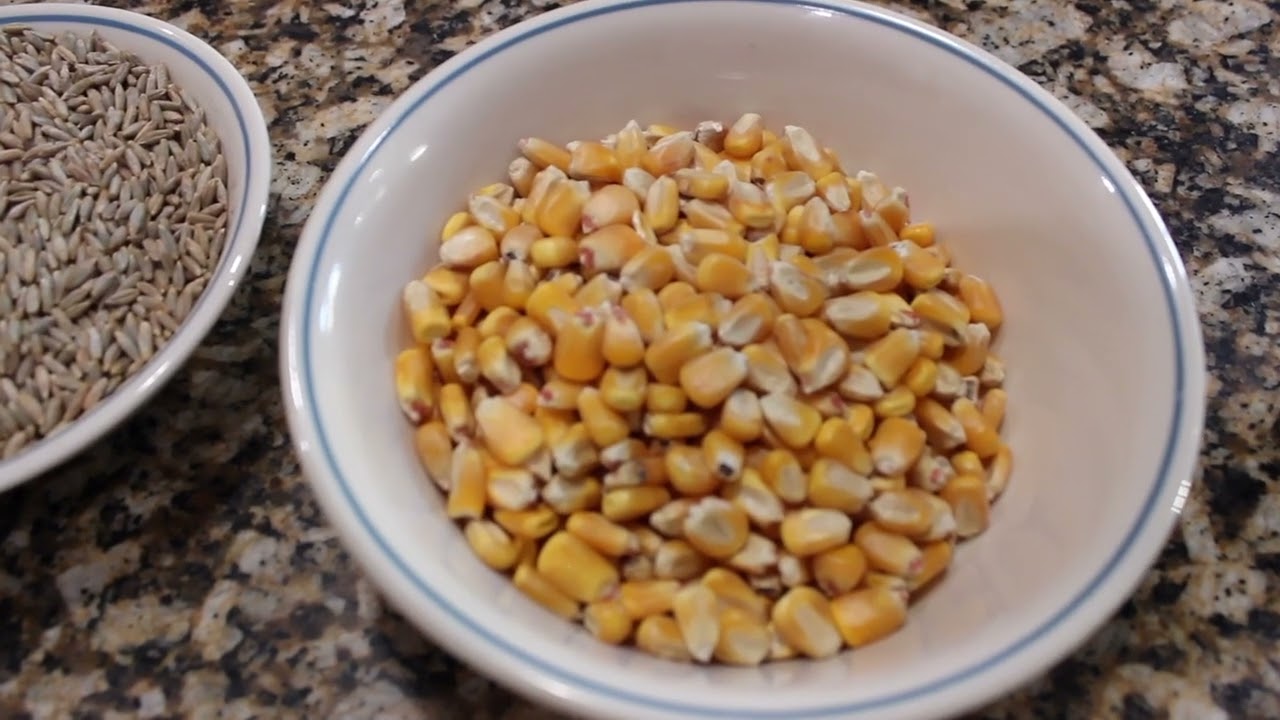 Grinding Your Own Flour: a Review of the Mockmill 100 and Nutrimill Classic
