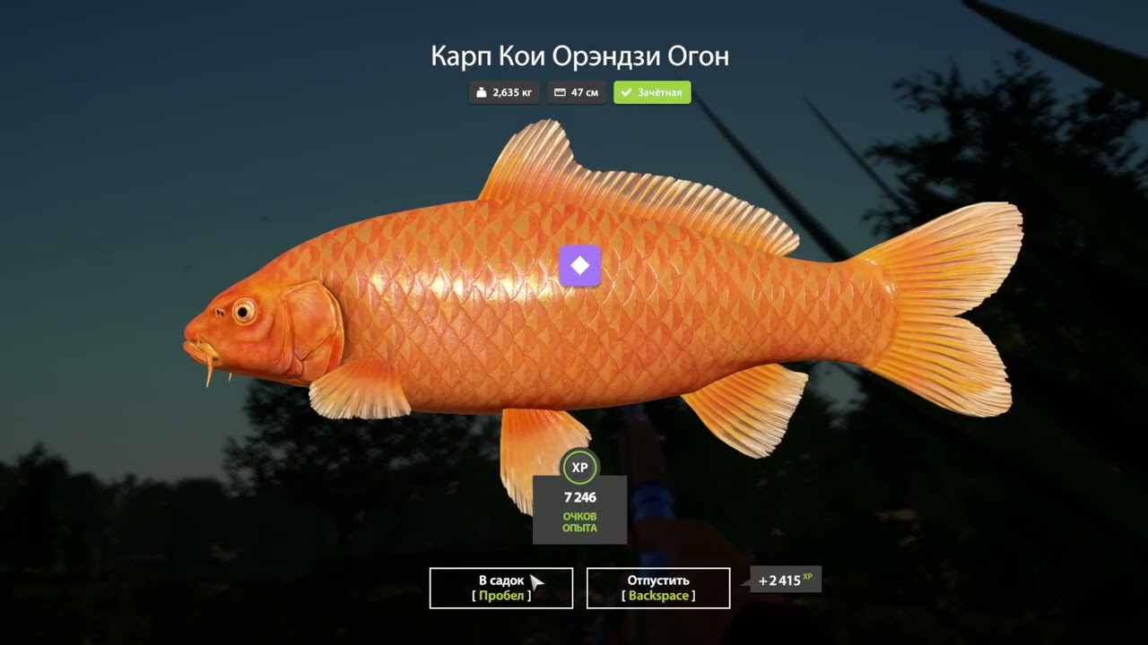 Ч.51.Всем приуэт!ЭЭ,рыба,сюда иди...😉🖖Russian Fishing 4.🖖😉🐟