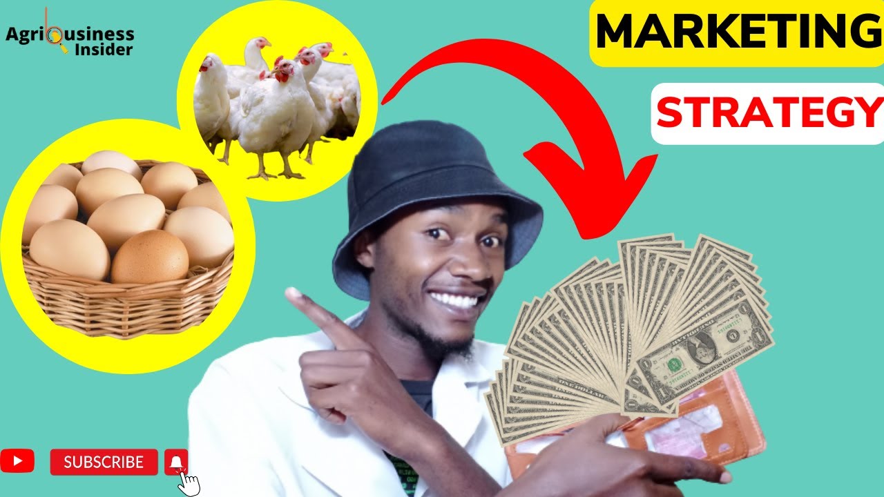 POULTRY PRODUCTS MARKETING STRATEGIES