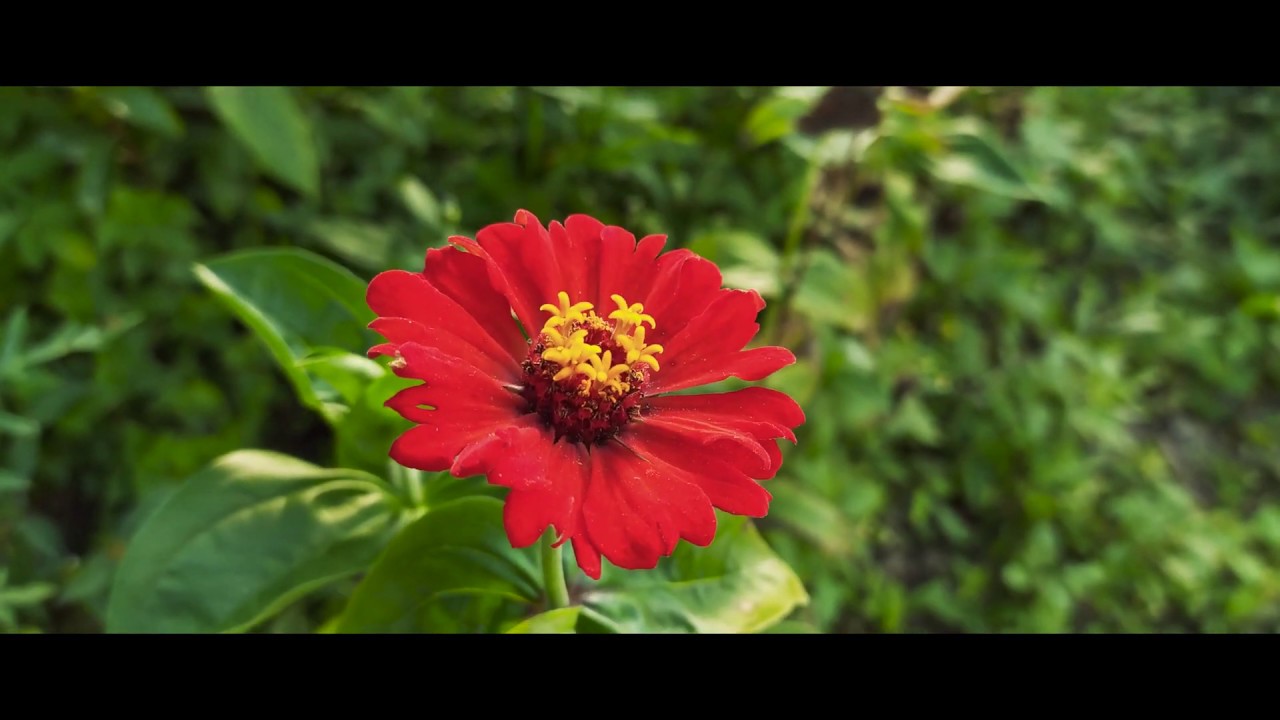 xiaomi note 8 video test cinematic 4K