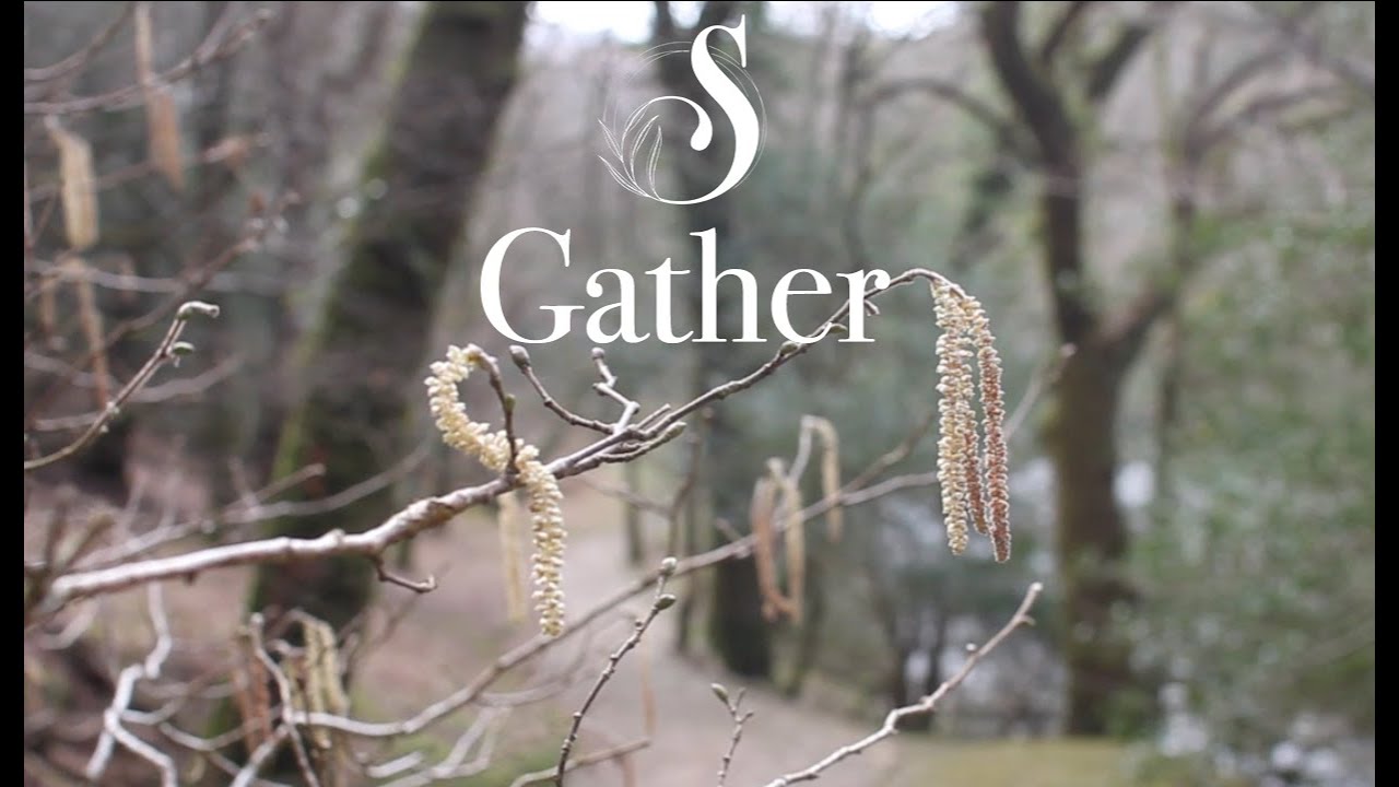 Gather - Suthering