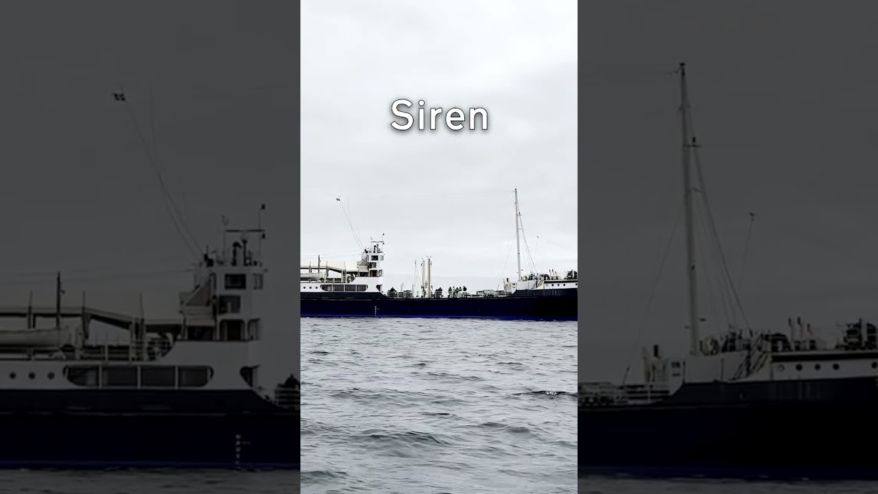 Whistle VS Siren | Steamship Shieldhall