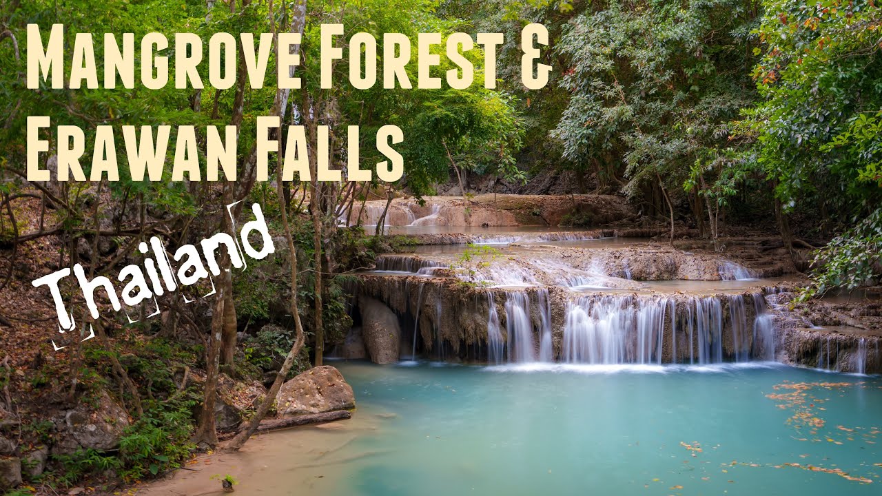 Into Thailand’s Jungle: Erawan National Park & Rayong Mangrove Forest