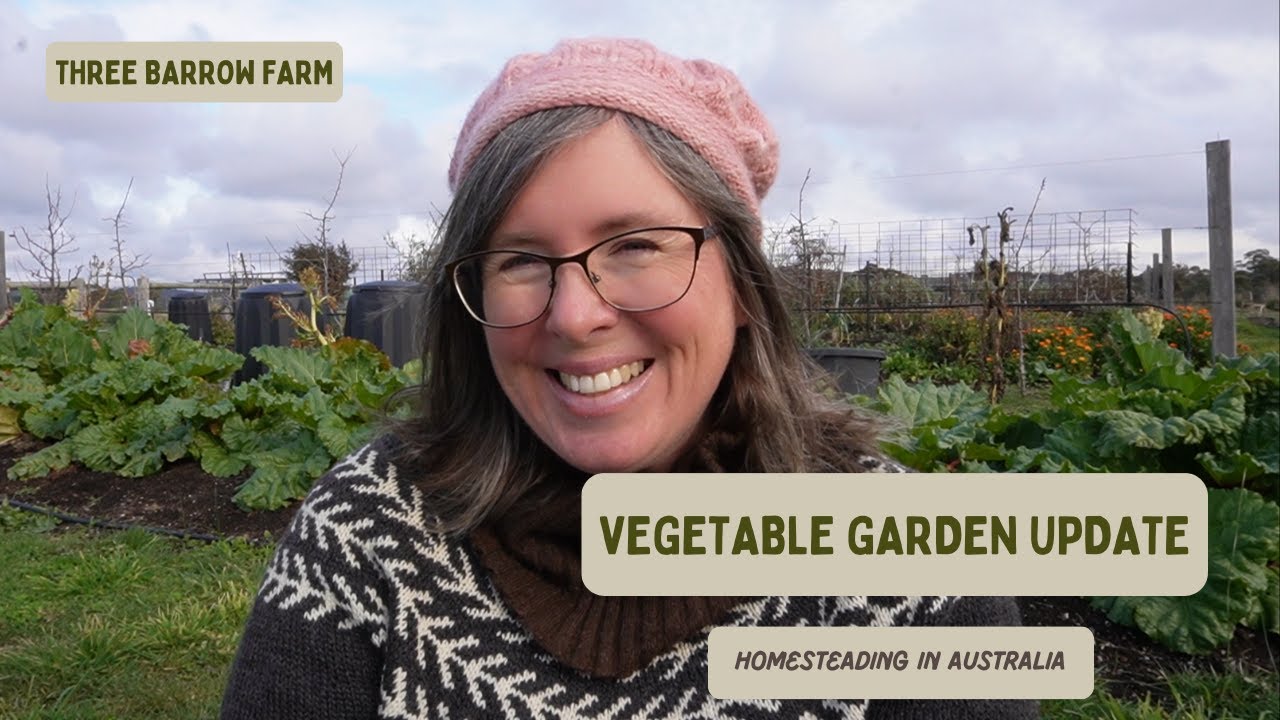 Autumn to Winter Veggie Garden Update: Australian Food Garden