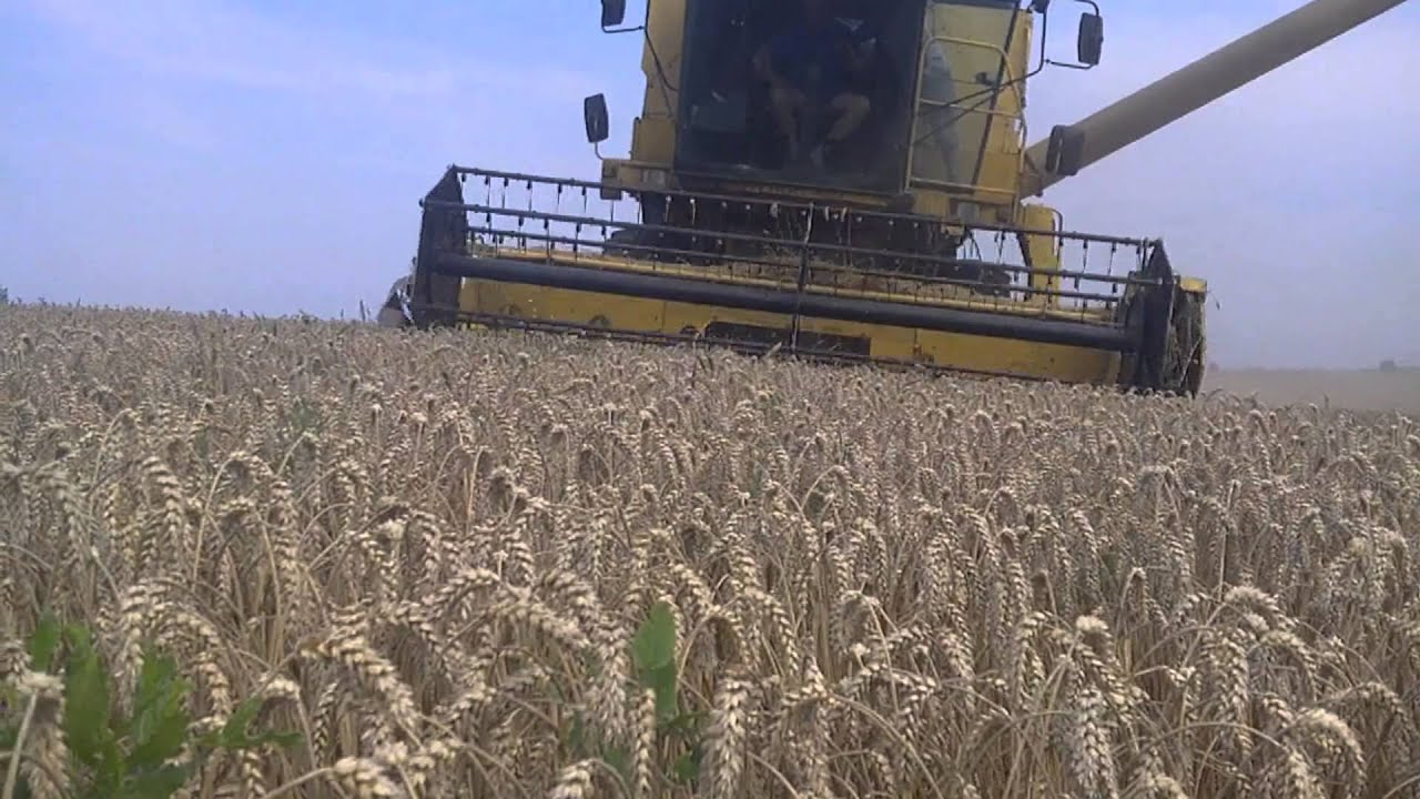 Żniwa 2014-Na podkarpaciu New Holland TX30#New Holland T6070 PTS 12 Pts9 NH TD 5020