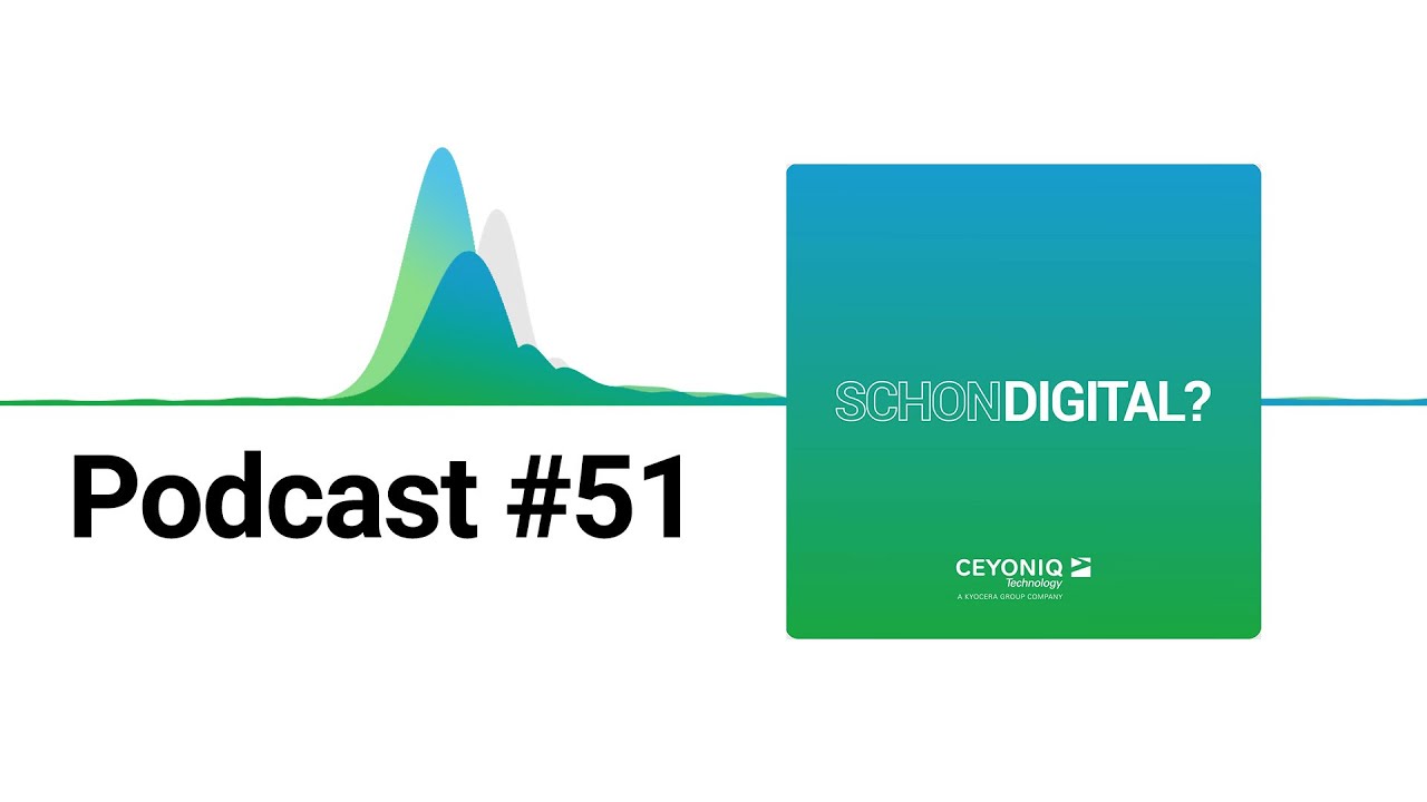 schon digital?#51 Prozesssicherheit im Finanzwesen: Strategien f&uuml;r eine sichere Dokumentenverwaltung