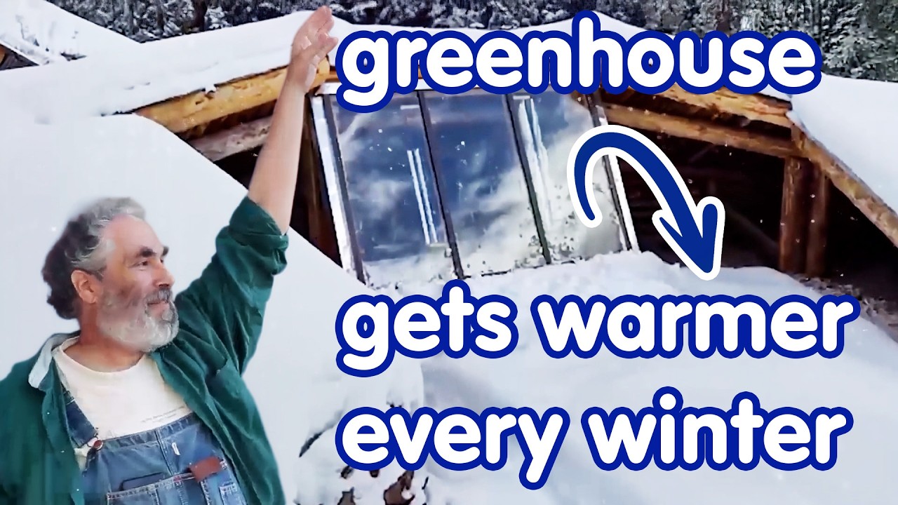Zero electricity. No fans, heaters or solar panels. Truly passive greenhouse.