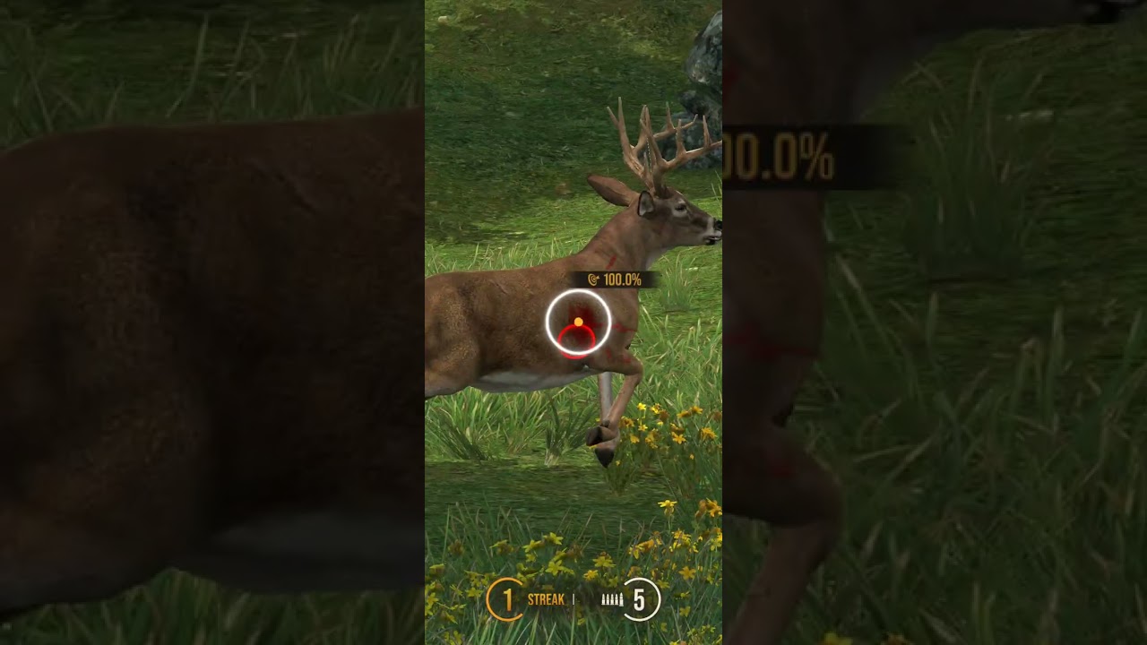 Playing hunting game .