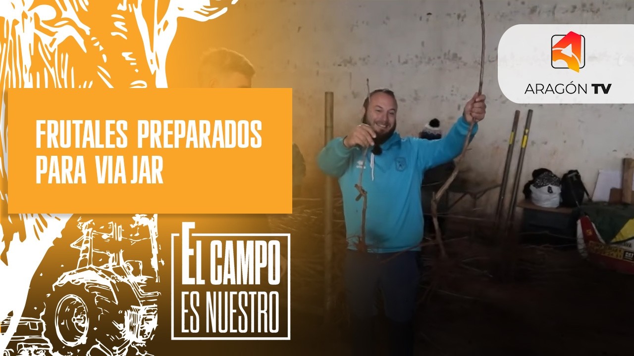 Frutales preparados para viajar