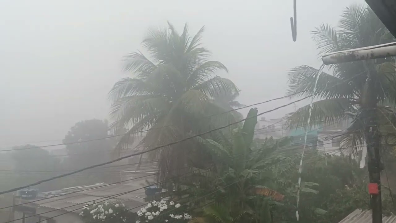 CHUVAS NO NOSSO NORDESTE PARA IRRIGAR A TERRA E NÓS PLANTAR