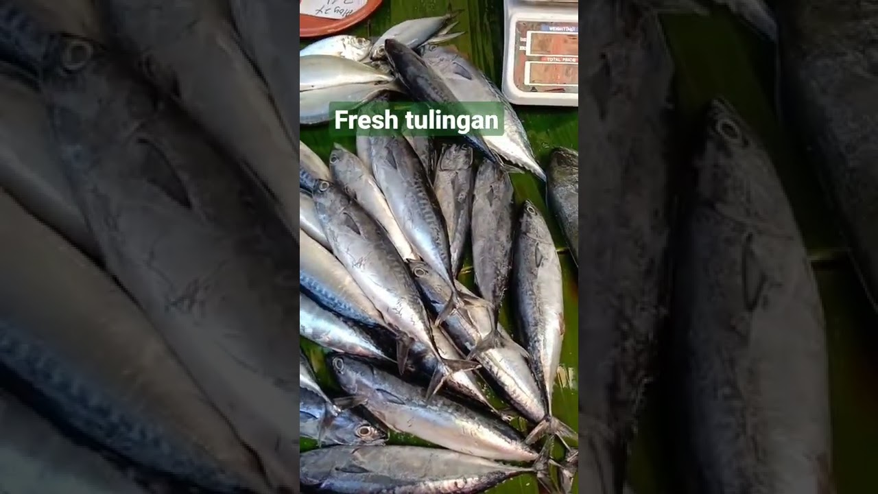 fresh tulingan 