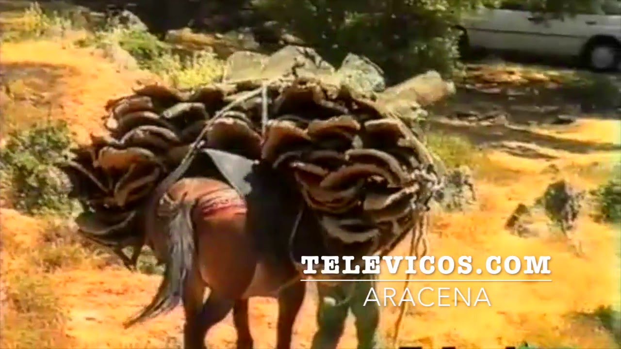 Televicos Aracena Documental 