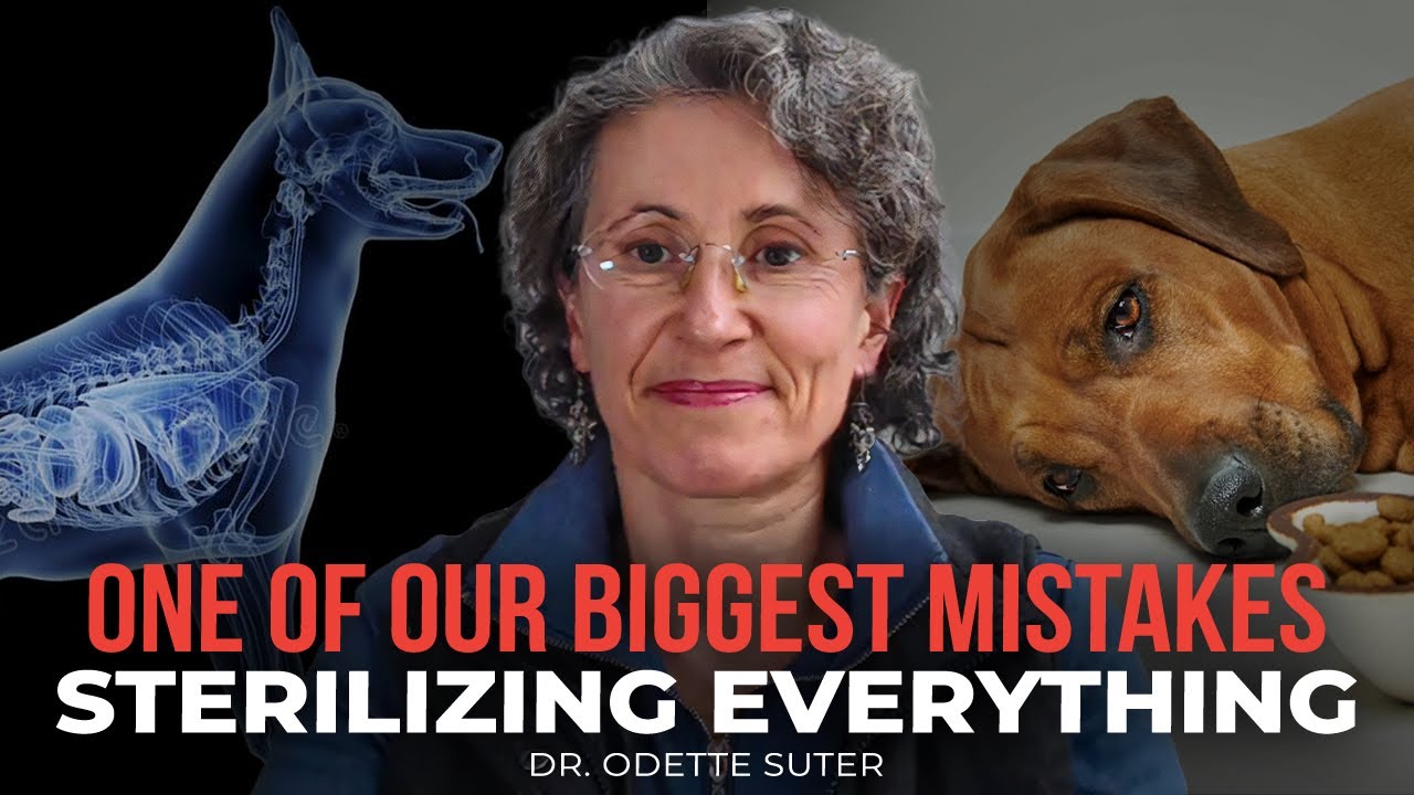 Is Probiotic Overuse Hurting Your Pet's Gut Health? | Gussy's Gut