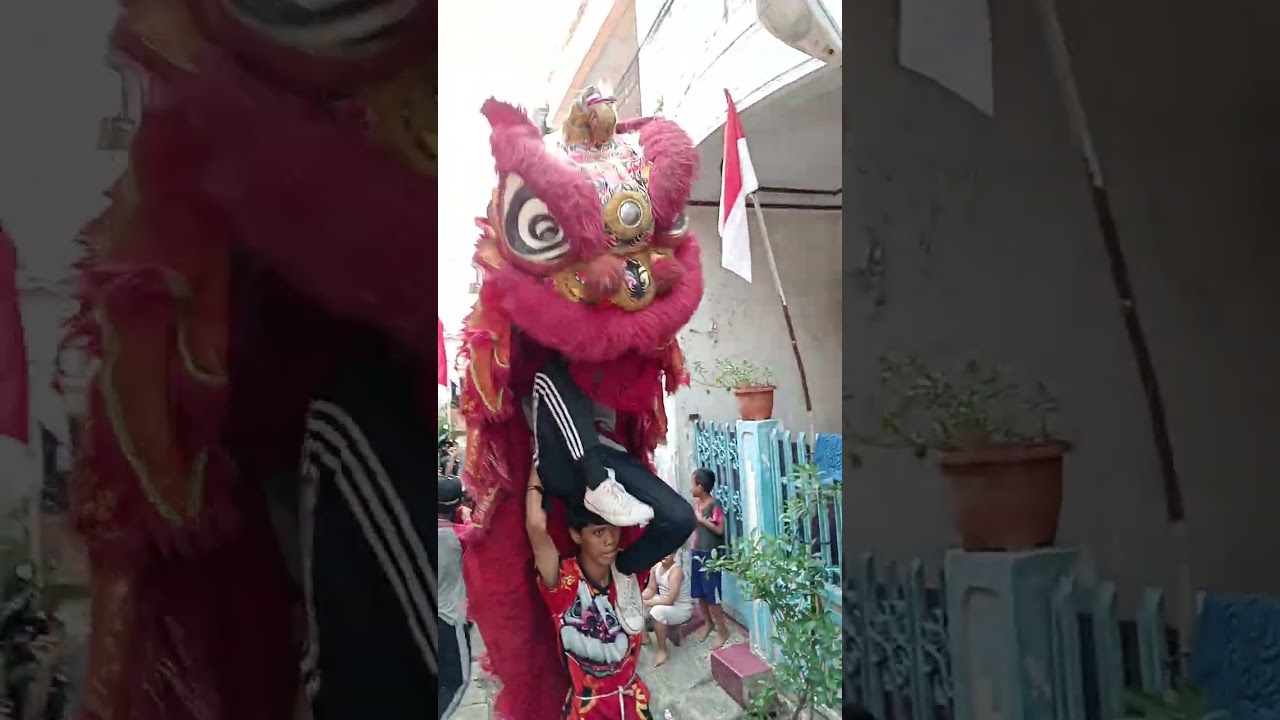 Barongsai 2