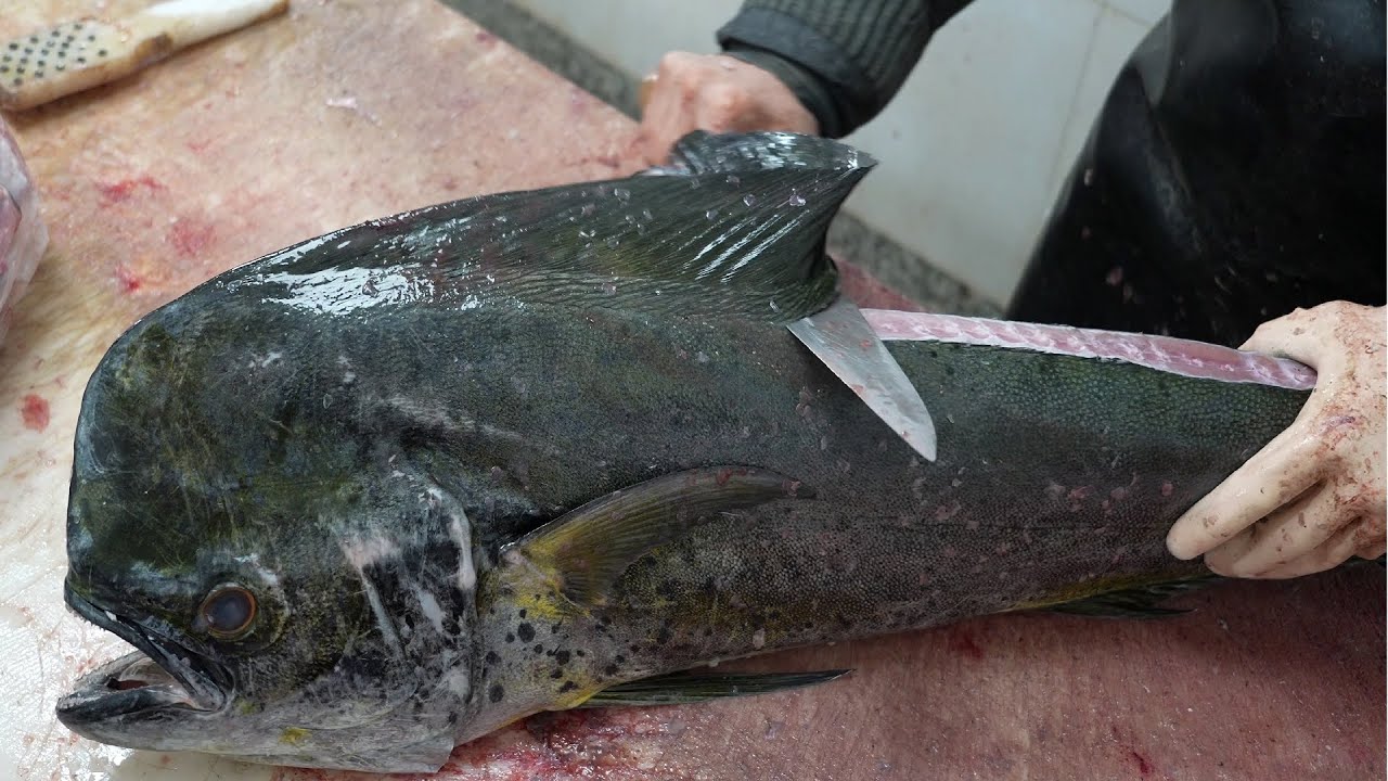 How to Fillet and Skin a Mahi Mahi the Right Way