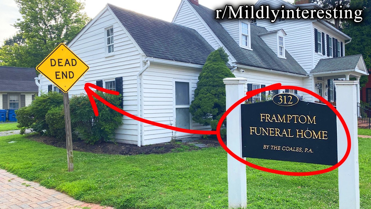 mind boggling reddit
