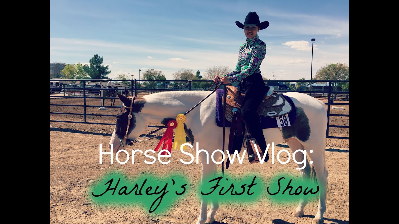 Horse Show Vlog: Harley's First Show