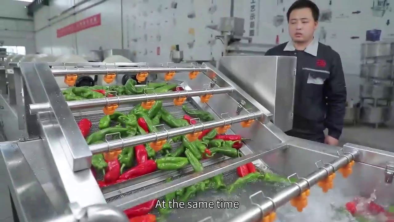 Fruit Washing Air Drying Machine / Vegetable Cleaning Machine