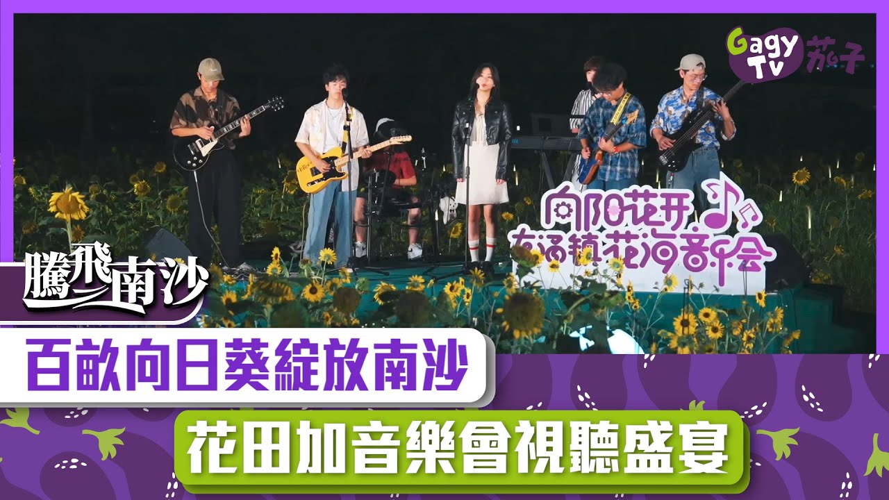 【短片】【騰飛南沙】百畝向日葵綻放南沙 花田加音樂會視聽盛宴
