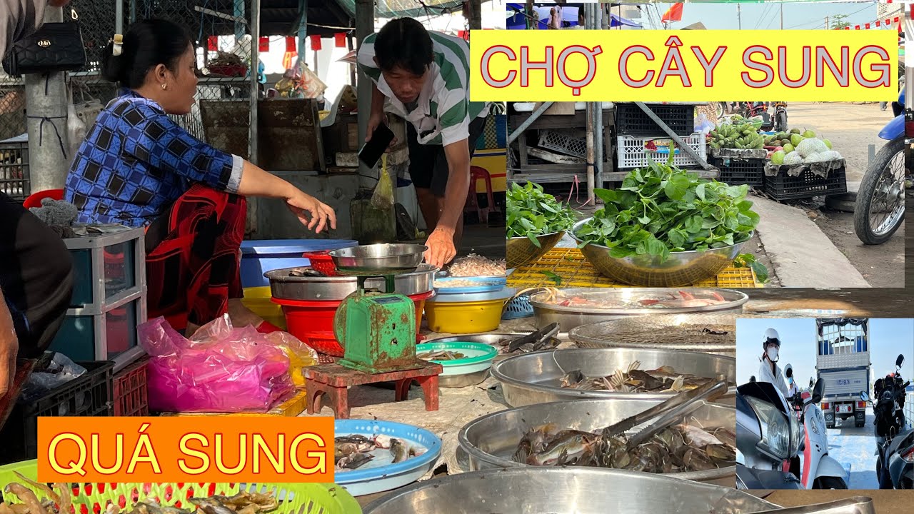 # Chợ Cây Sung# chợ quá sung