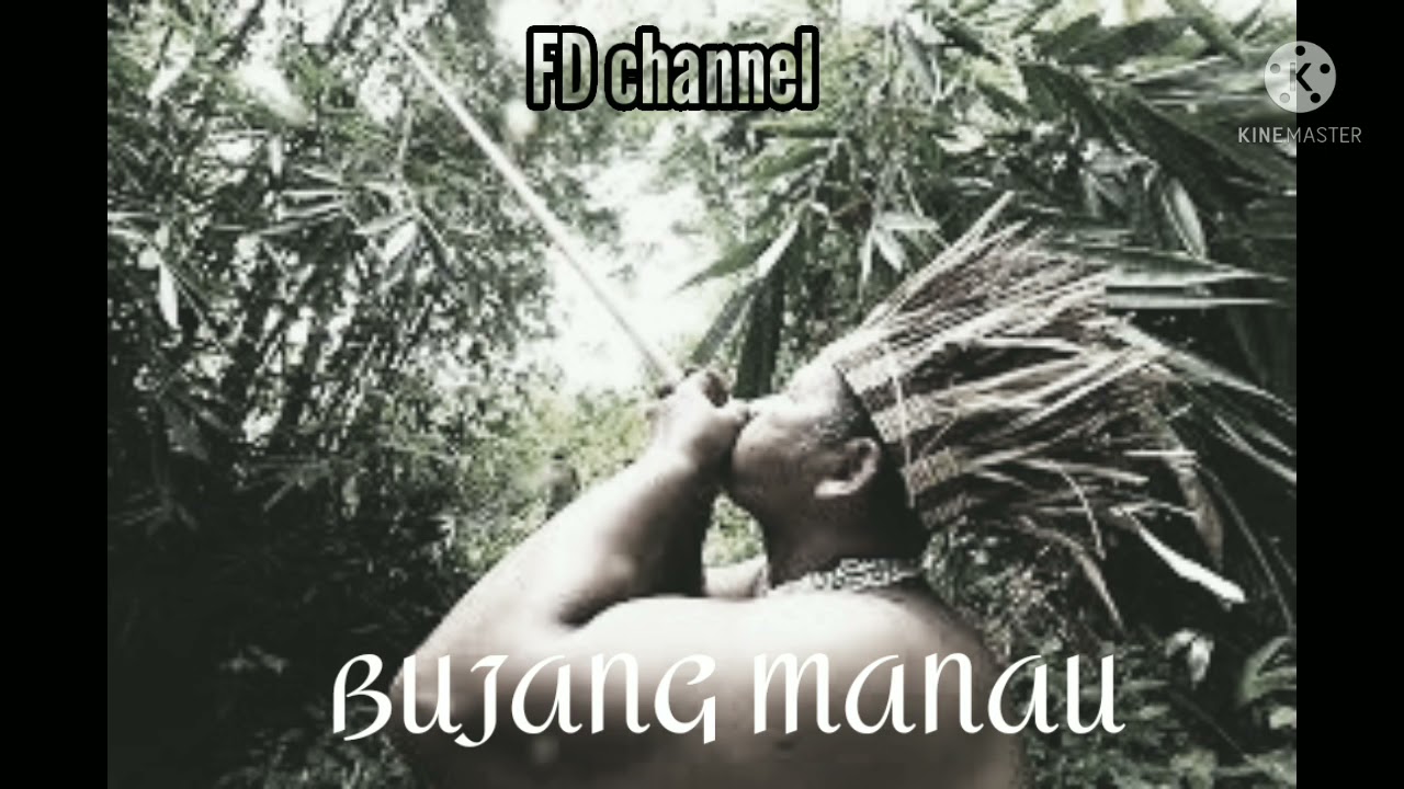 BUJANG MANAU #laguuwangkitak