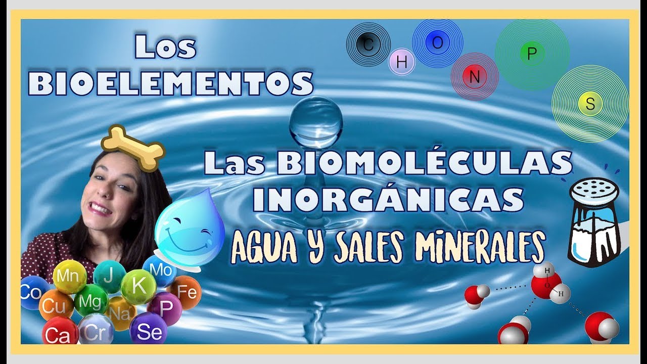 Bioelementos y biomol&eacute;culas inorg&aacute;nicas. 2&ordm; de Bachiller - Bio[ESO]sfera